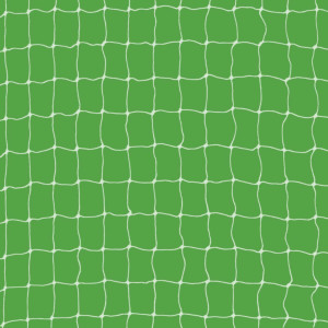 Katzenschutznetz 3 x 2m transparent / weiß